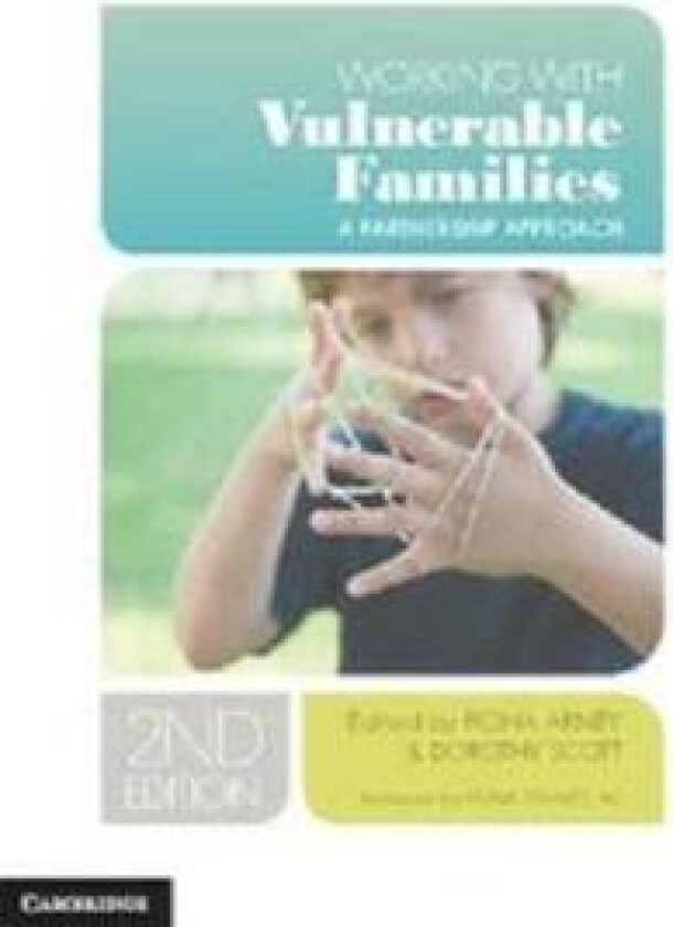 Working with Vulnerable Families