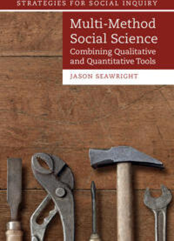 Multi-Method Social Science