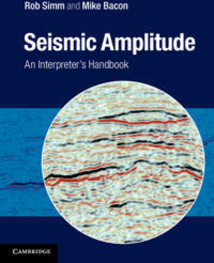 Seismic Amplitude