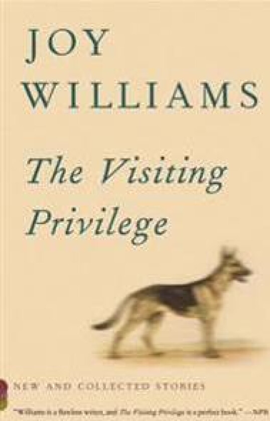 The Visiting Privilege: New and Collected Stories