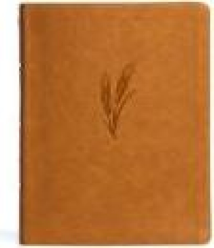 KJV Notetaking Bible, Large Print Edition, Camel