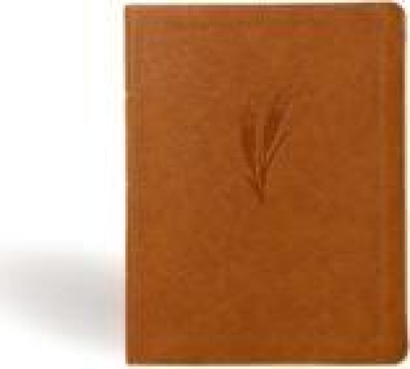 CSB Notetaking Bible, Large Print Edition, Camel