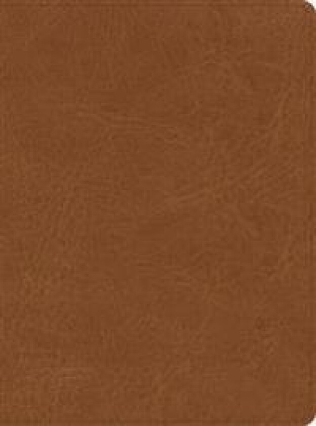 CSB He Reads Truth Bible, Saddle LeatherTouch, Indexed