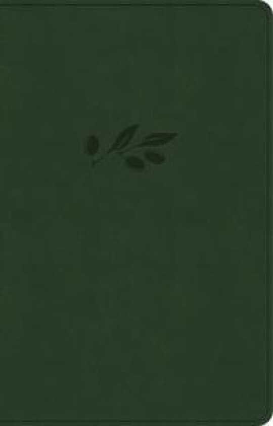 NASB Large Print Personal Size Reference Bible, Olive