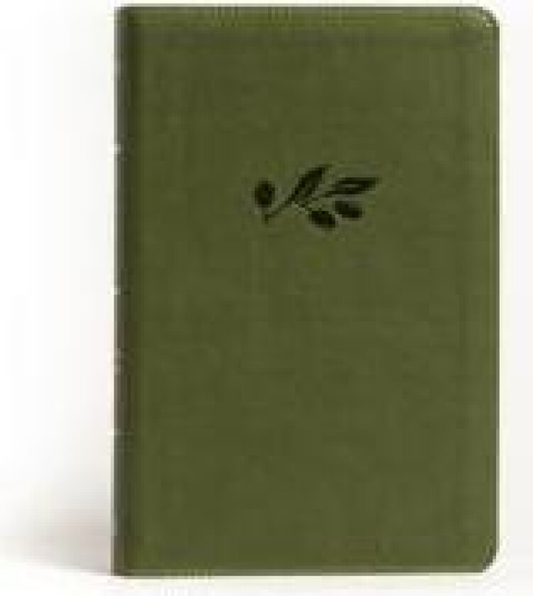 NASB Large Print Personal Size Reference Bible, Olive