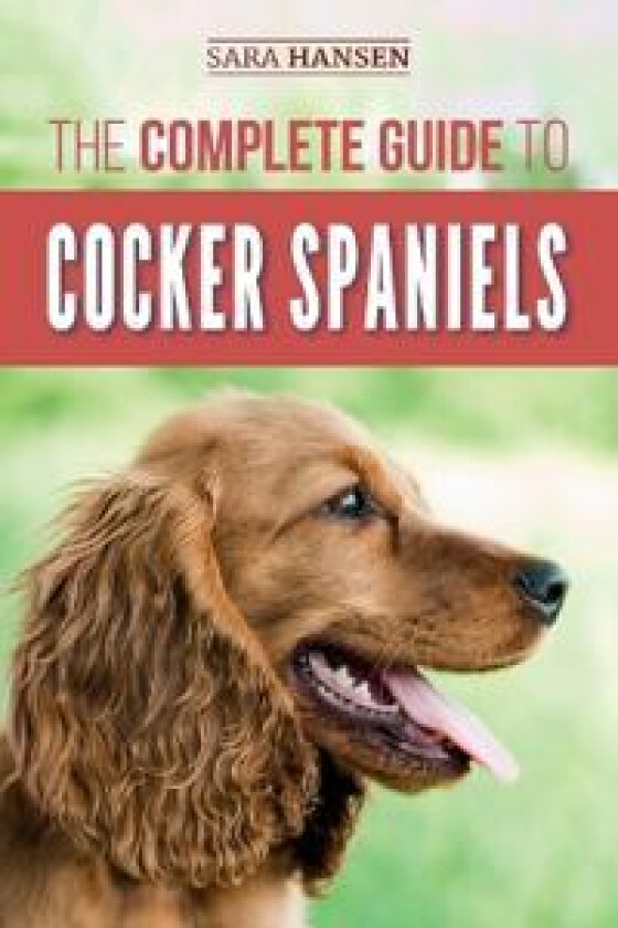 The Complete Guide to Cocker Spaniels