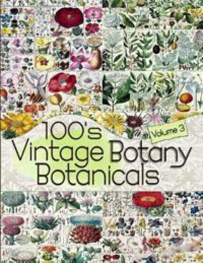 100's Vintage Botany Botanicals Volume 3