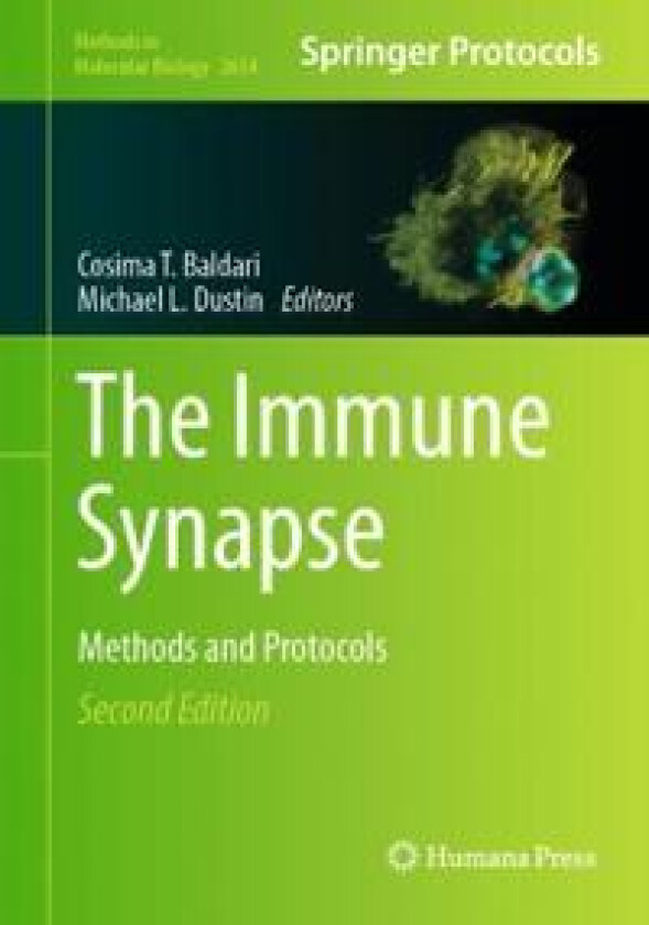 The Immune Synapse