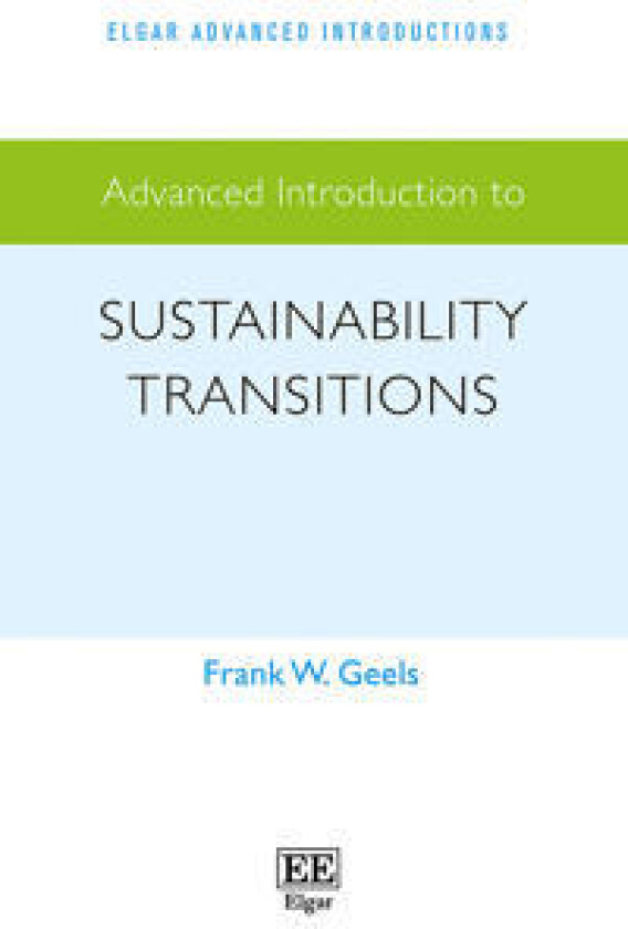 Advanced Introduction to Sustainability Transitions