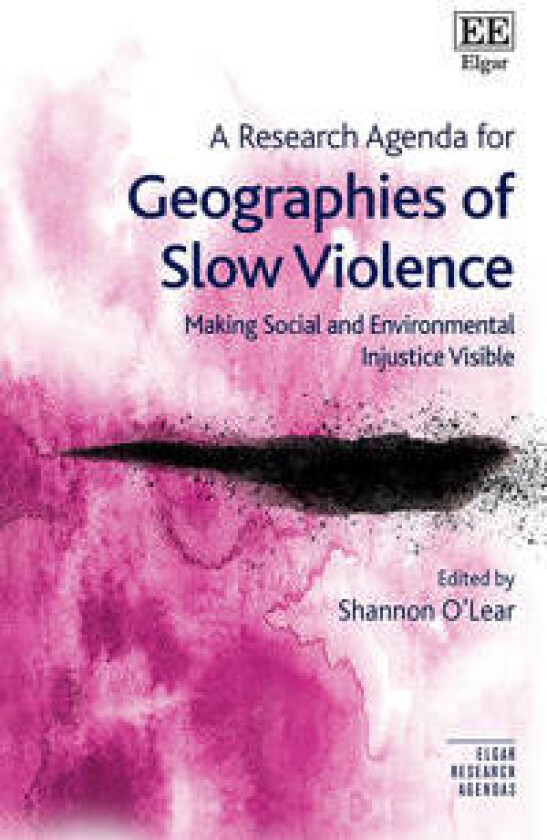 A Research Agenda for Geographies of Slow Violence