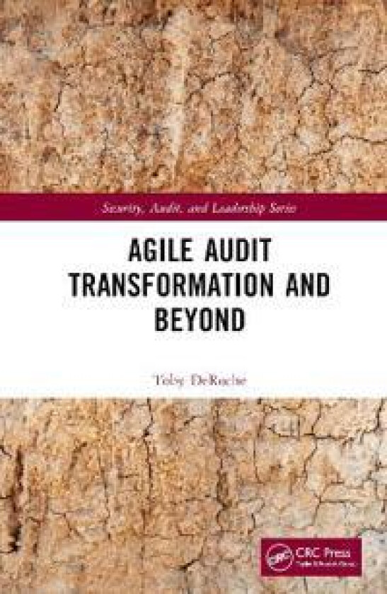 Agile Audit Transformation and Beyond