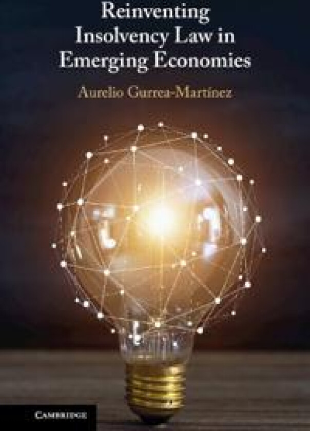 Reinventing Insolvency Law in Emerging Economies