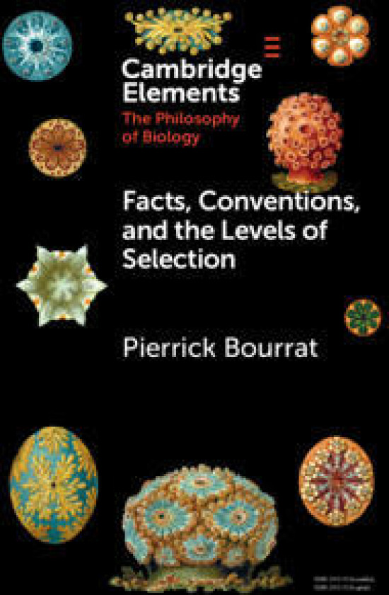 Facts, Conventions, and the Levels of Selection