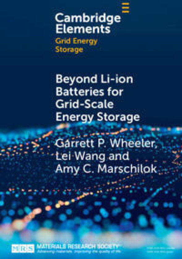 Beyond Li-ion Batteries for Grid-Scale Energy Storage
