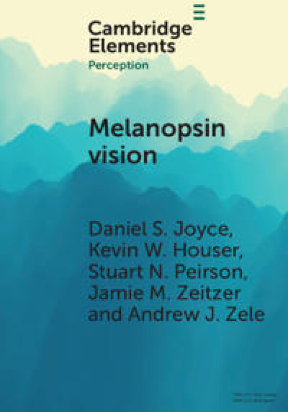 Melanopsin Vision