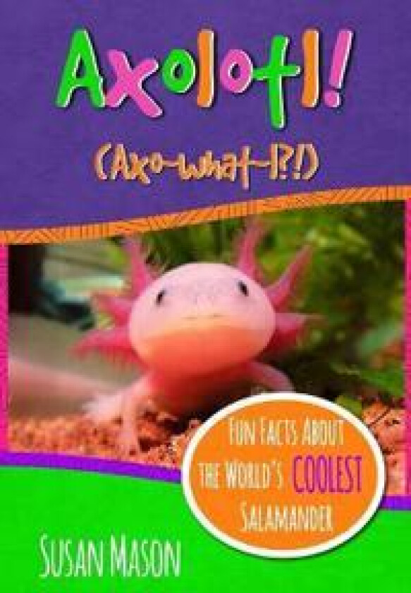 Axolotl!
