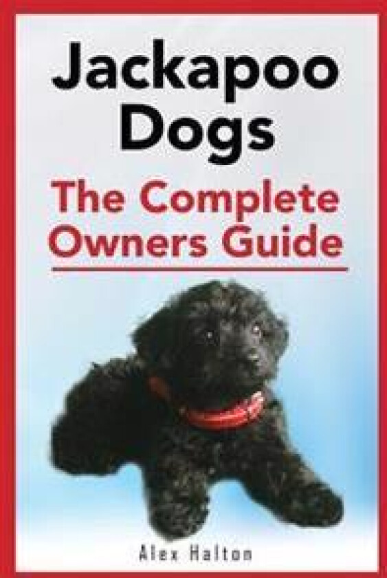 Jackapoo Dogs: The Complete Owner's Guide