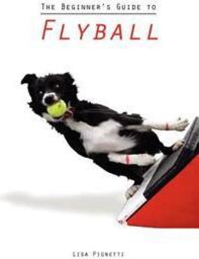 The Beginner's Guide to Flyball
