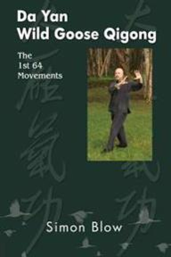 Da Yan Wild Goose Qigong the 1st 64 Movements