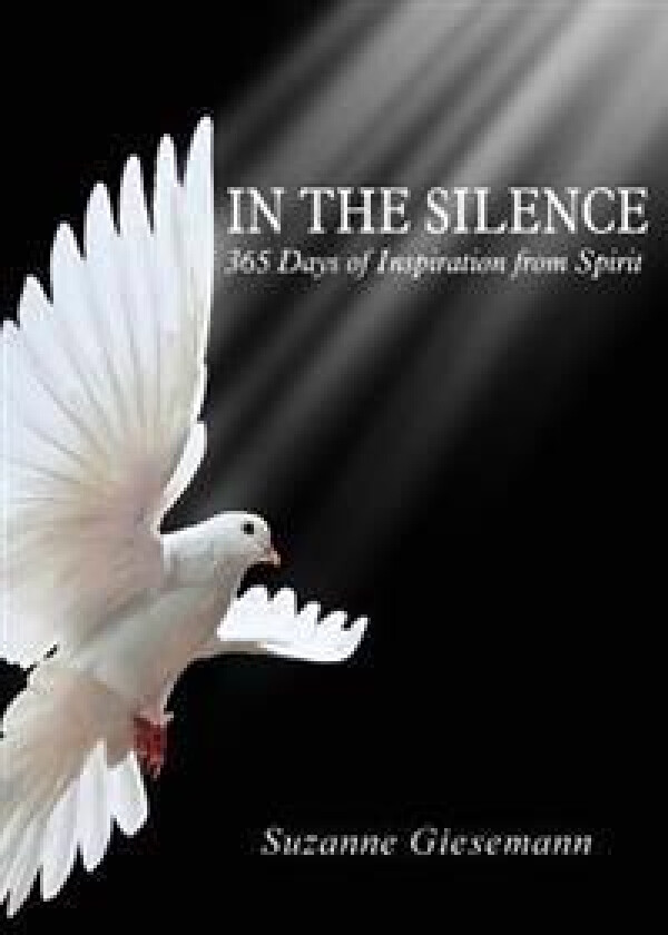 In the Silence: 365 Days of Inspiration from Spirit