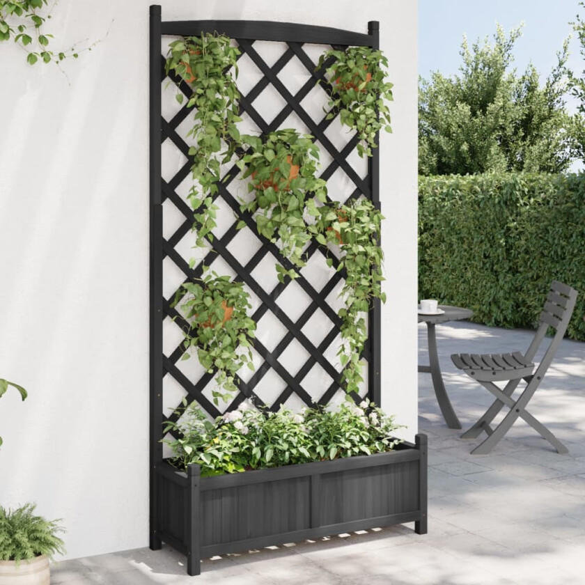 Plantekasse med espalier svart heltre gran