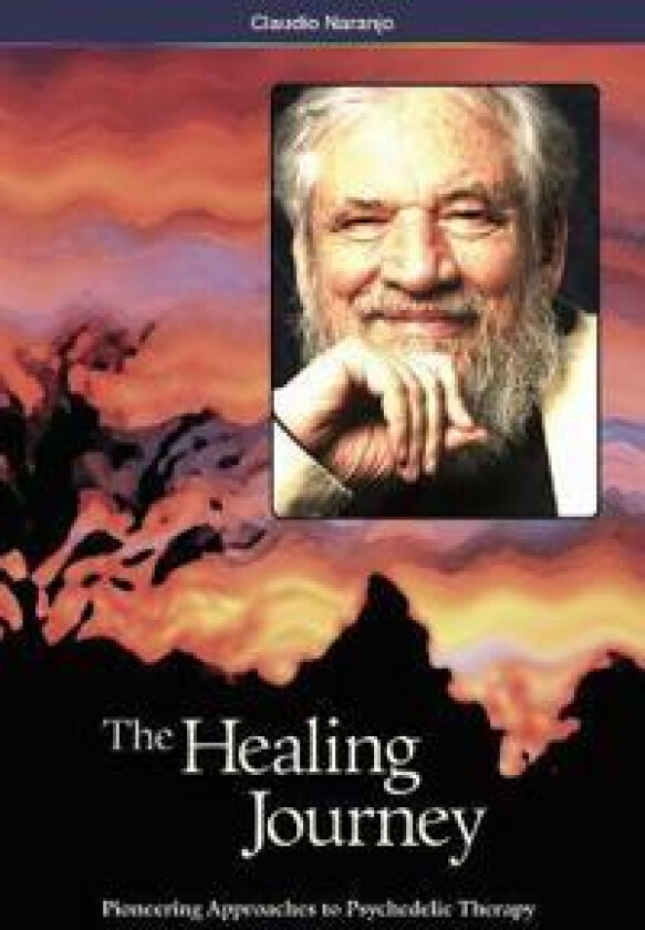 The Healing Journey (2nd Edition)