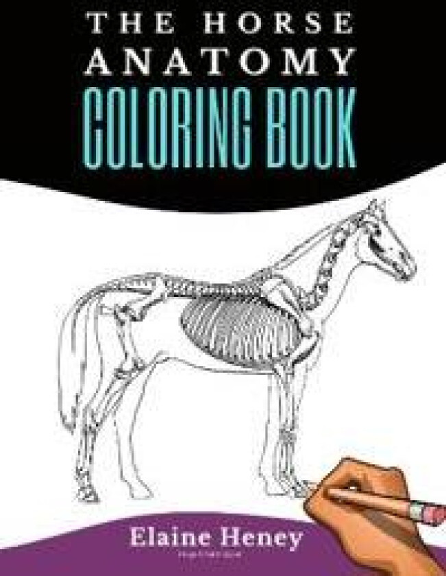 Horse Anatomy Coloring Book For Adults
