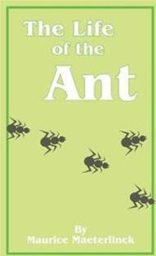 The Life of the Ant