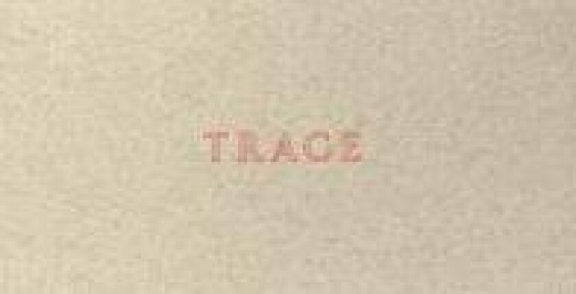 Jenny Holzer: Trace