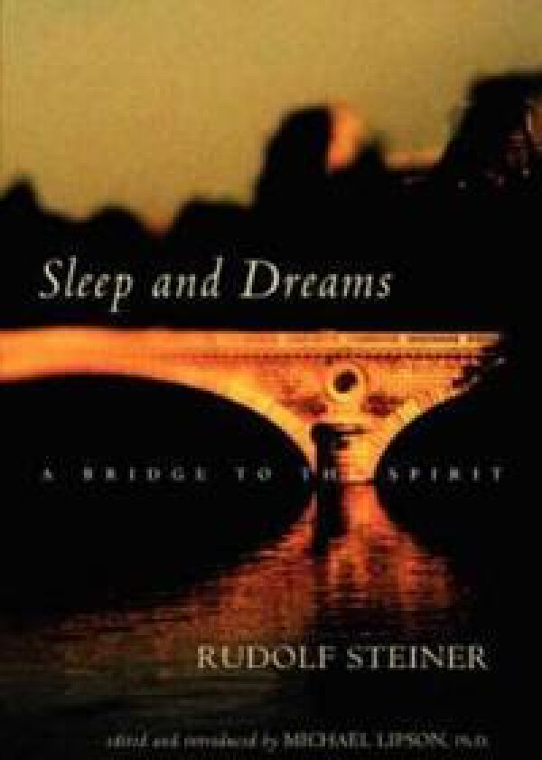 Sleep and Dreams