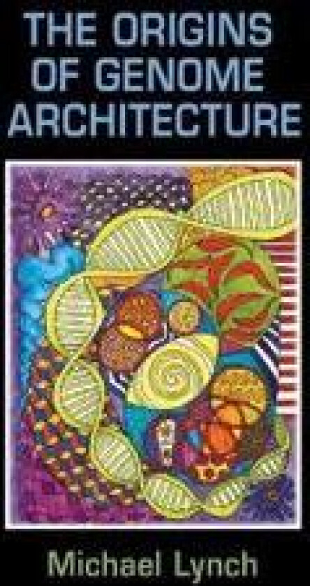 The Origins of Genome Architecture