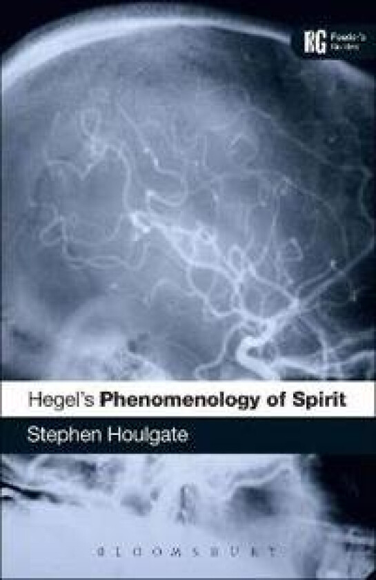 Hegel's 'Phenomenology of Spirit'