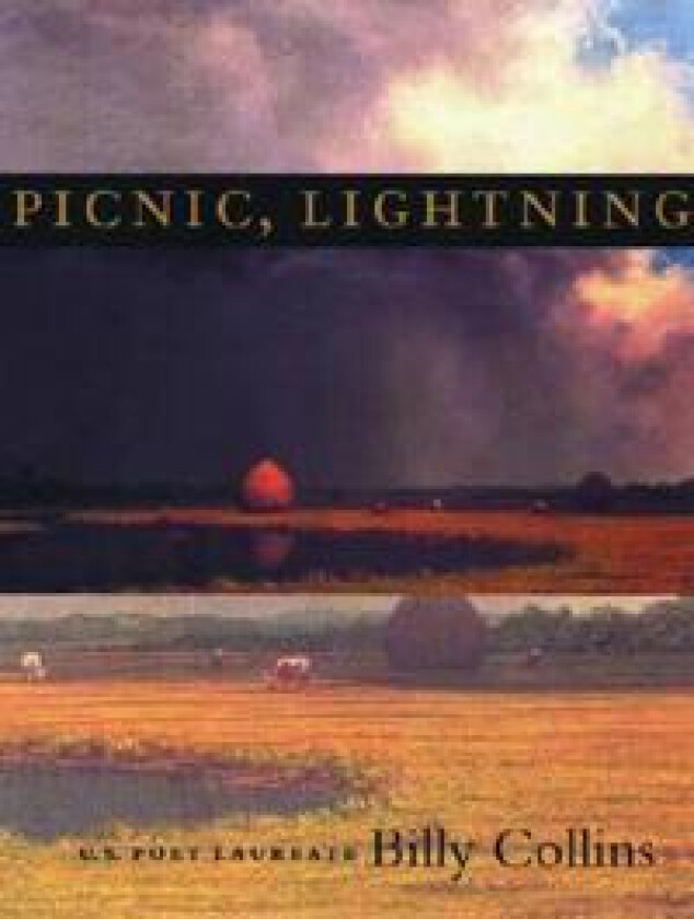 Picnic, Lightning