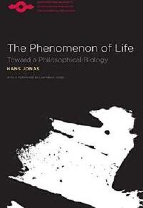 The Phenomenon of Life