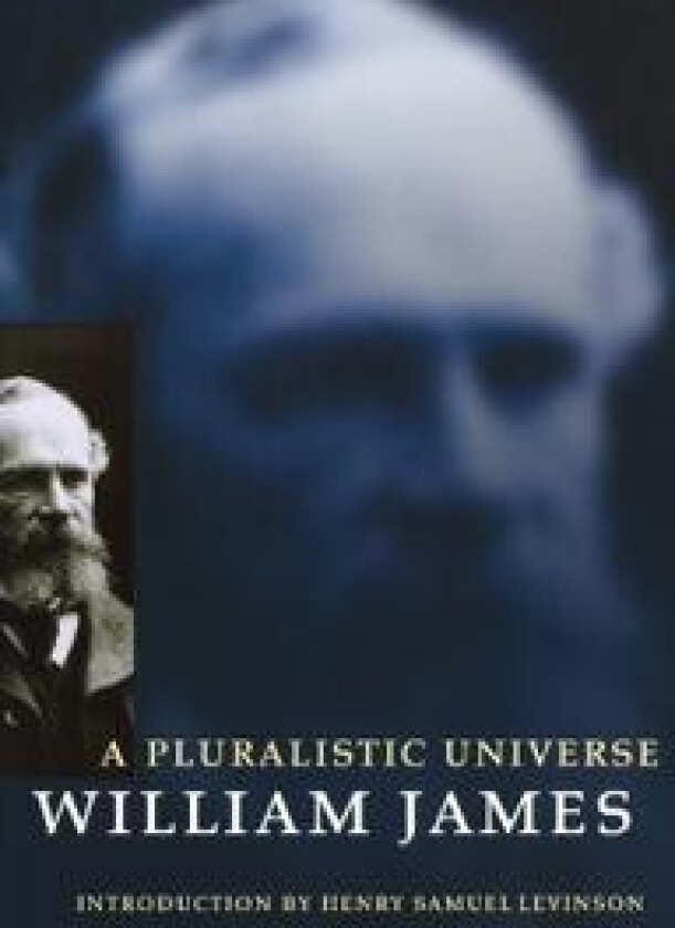 A Pluralistic Universe