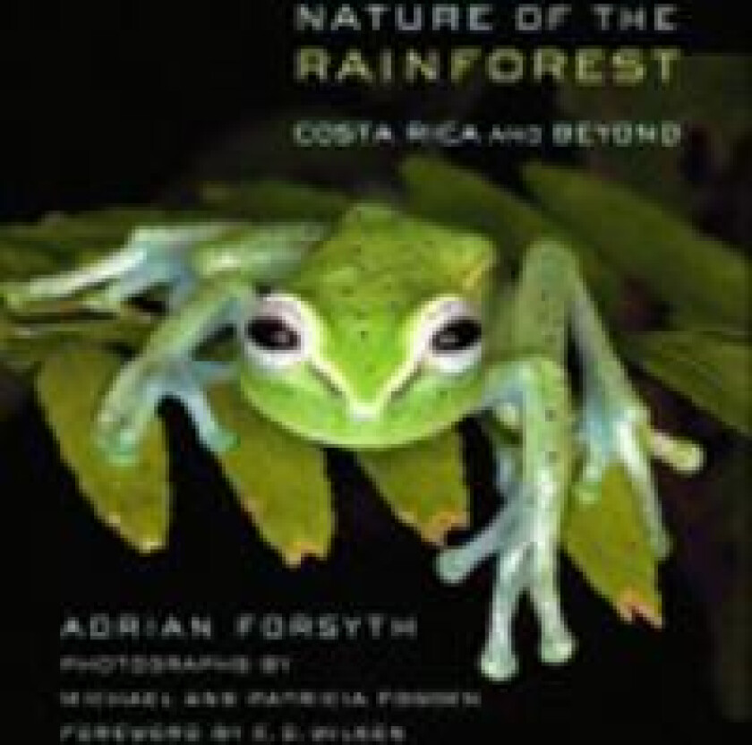 Nature of the Rainforest