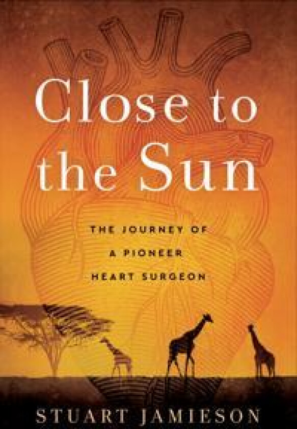 Close to the Sun