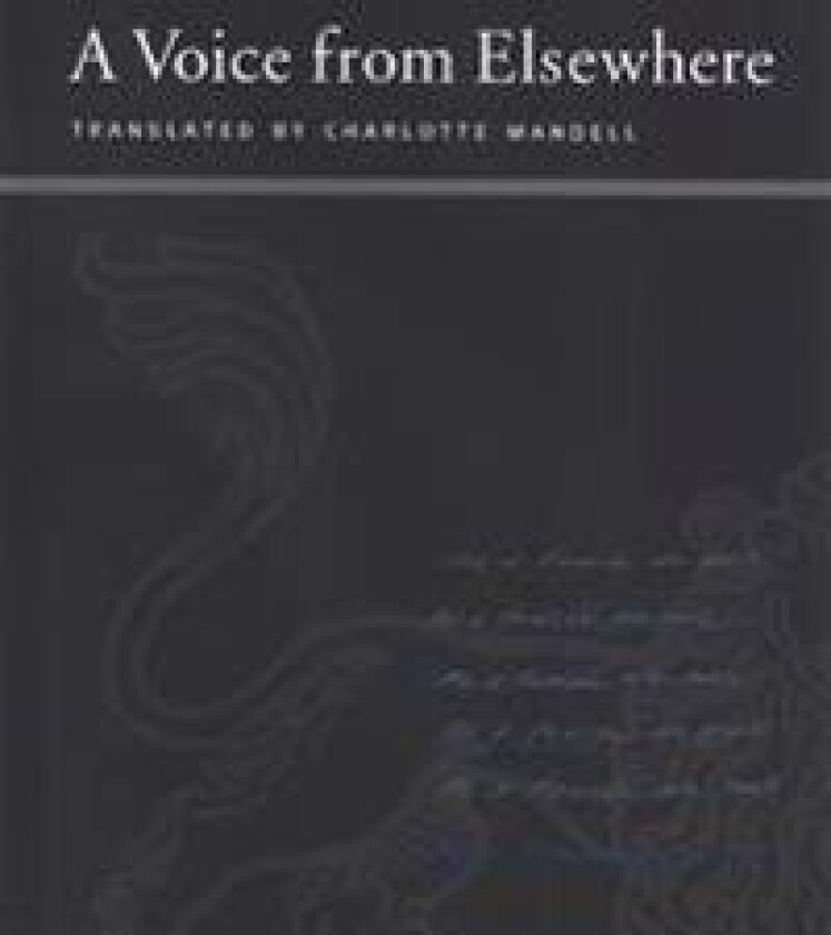 A Voice from Elsewhere