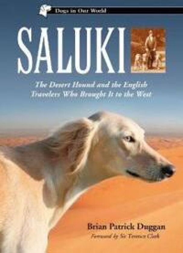 Saluki