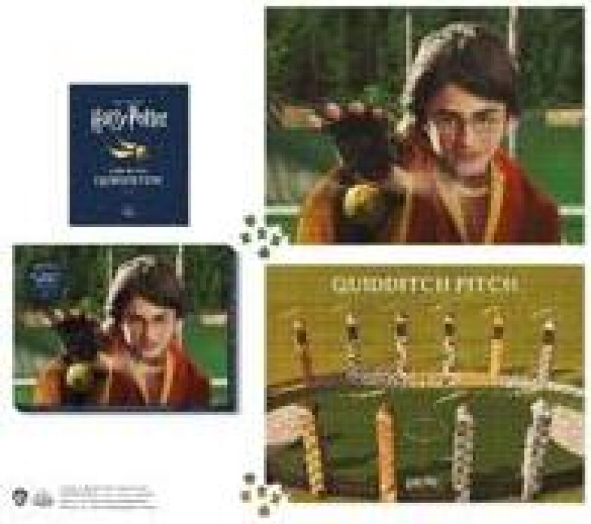Harry Potter Quidditch Match 2-in-1 Double-Sided 1000-Piece Puzzle