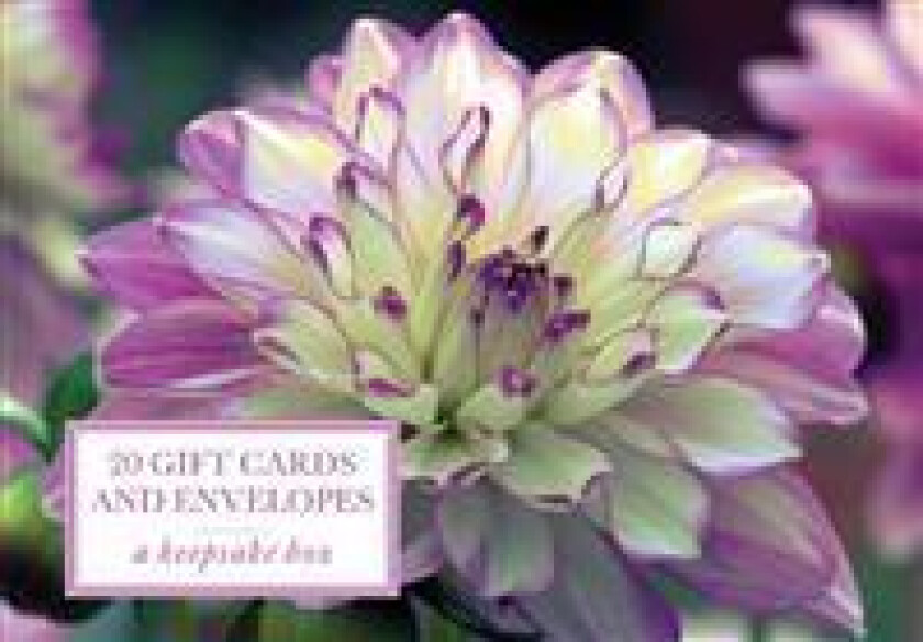 Tin Box of 20 Gift Cards and Envelopes: Dahlia