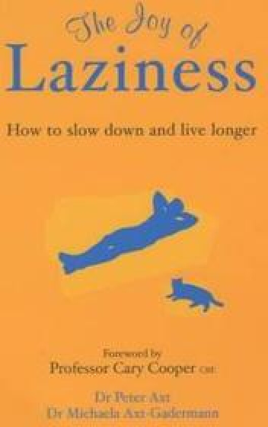 The Joy of Laziness