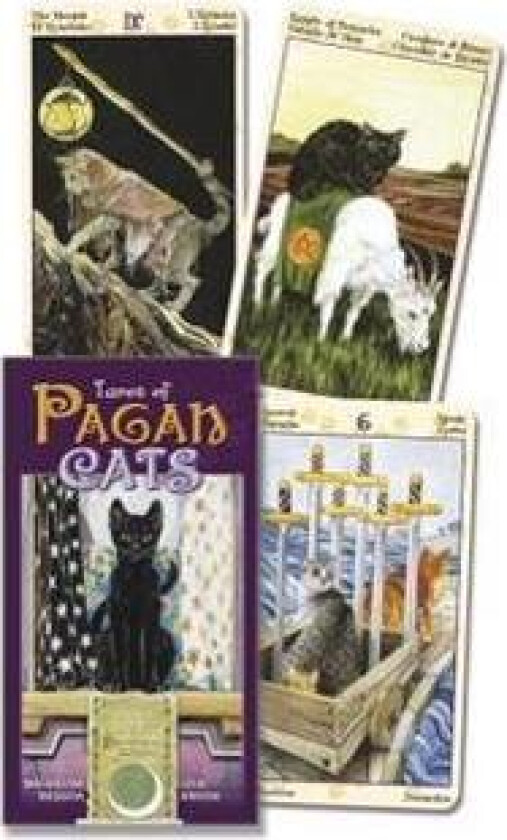 Tarot of Pagan Cats
