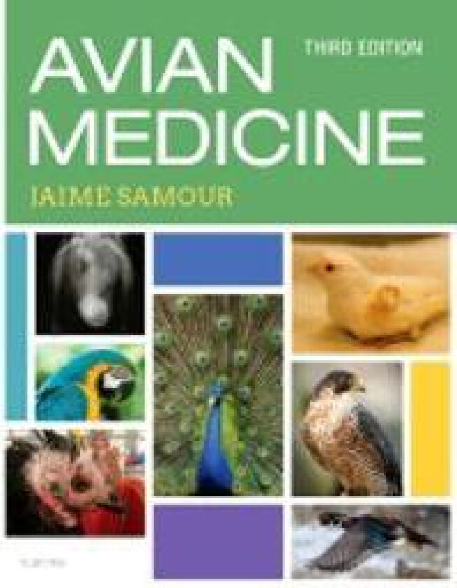 Avian Medicine