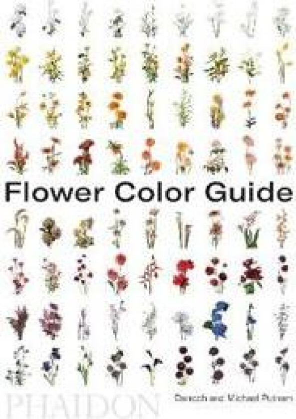 Flower Color Guide