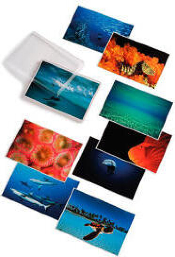David Doubilet; Water Light Time Postcards