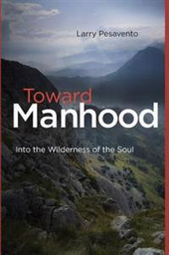 Toward Manhood: Into the Wilderness of the Soul
