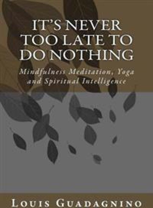 It's Never Too Late to Do Nothing: Mindfulness Meditation, Yoga and Spiritual Intelligence