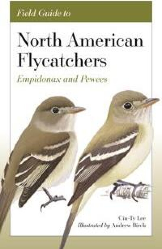 Field Guide to North American Flycatchers