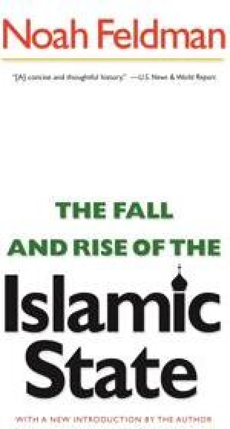 The Fall and Rise of the Islamic State